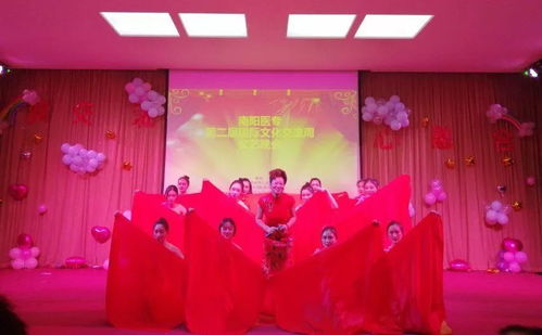 新交流 心融合 南陽(yáng)醫(yī)專國(guó)際文化交流周文藝晚會(huì)精彩回顧
