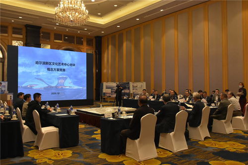 哈爾濱新區(qū)文化藝術(shù)中心項(xiàng)目建設(shè)邁出重要步伐 規(guī)劃設(shè)計(jì)招標(biāo)圓滿完成，文化藝術(shù)交流活動(dòng)蓄勢(shì)待發(fā)